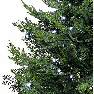 National Tree Company Company Company National Tree Company Company Cypress Topiary Tree (729083527333)