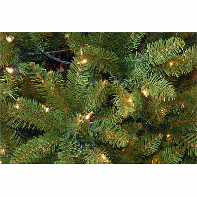 National Tree Company Company Company National Tree Company Company Kingswood Fir Christmas Tree - Green (729083175916)