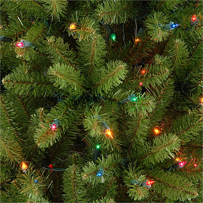 National Tree Company Company Company National Tree Company Company Kingswood Fir Christmas Tree - Green (729083175930)