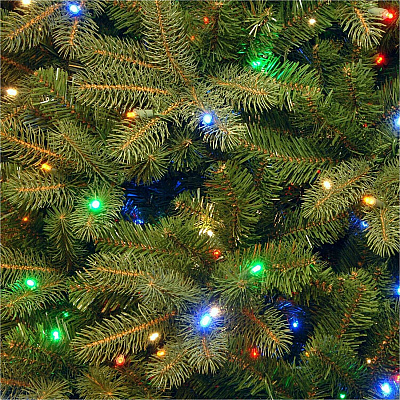 National Tree Company Company Company National Tree Company Company Downswept Douglas Fir Christmas Tree - Green (729083515095)