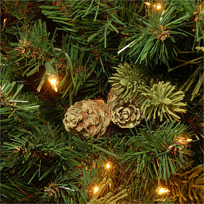 National Tree Company Company Company National Tree Company Company Carolina Pine Christmas Tree - Green (729083945977)