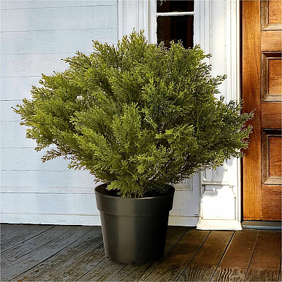 National Tree Company Company Company National Tree Company Company Globe Juniper Topiary Tree (729083602283)