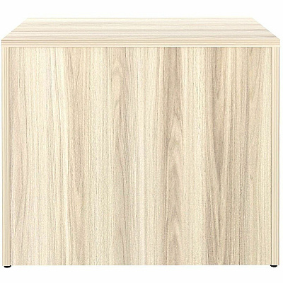 Lorell Essentials 2-Door Storage Cabinet (66333)