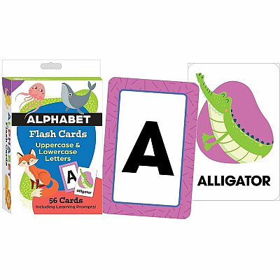 Shell Education Teacher Created Materials Alphabet Flash Cards (155897)