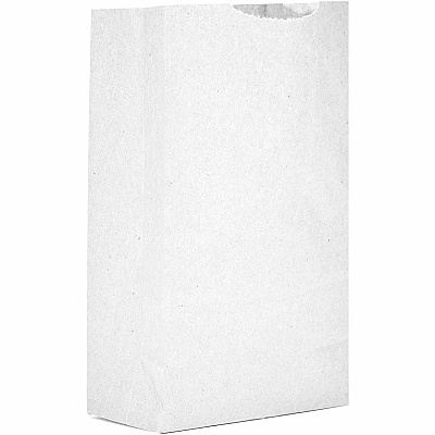 AJM Packaging Packaging Packaging AJM Packaging Packaging #2 White Paper Grocery Bags (WB02NP5CES)