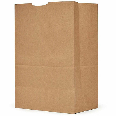 AJM Packaging Packaging Packaging AJM Packaging Packaging 1/6 BBL #75 Kraft Paper Grocery Sacks (GS75NP4CES)
