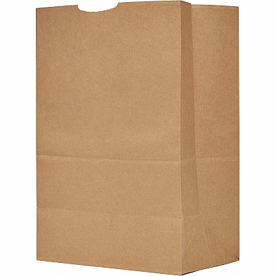 AJM Packaging Packaging Packaging AJM Packaging Packaging 1/6 BBL #57 Kraft Paper Grocery Sacks (GS57NP5CES)