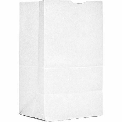 AJM Packaging Packaging Packaging AJM Packaging Packaging #20 Squat White Paper Grocery Bags (WB20NP5CES)