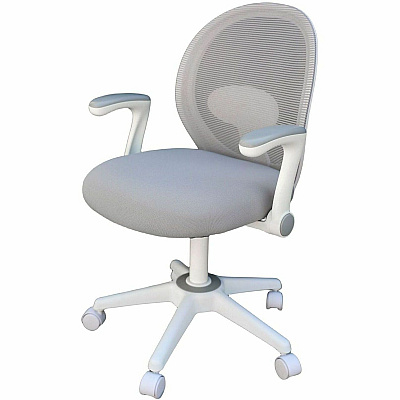 BOSS Grey Mesh, Flip Arm, Task Chair, White Frame (676WTGY)