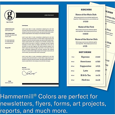 Hammermill Colors Copy Paper (168030CT)
