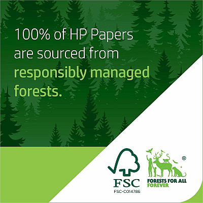 HP Premium Paper (112400CT)