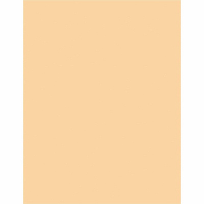 Sparco Premium Grade Pastel Color Copy Paper (05127CT)