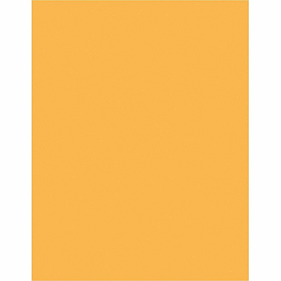 Sparco Premium Grade Pastel Color Copy Paper (05125CT)