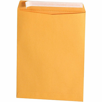Business Source Kraft Peel-and-Stick Catalog Envelopes (40102)