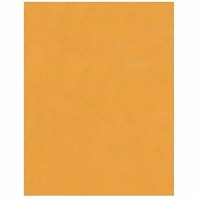 Business Source Kraft Peel-and-Stick Catalog Envelopes (40099)