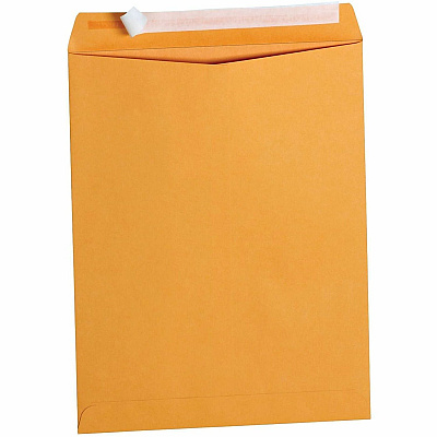 Business Source Kraft Peel-and-Stick Catalog Envelopes (40099)
