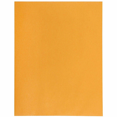 Business Source #97 Clasp Envelopes with Gummed Closure (35266)