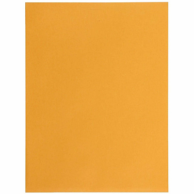 Business Source Self-Seal Catalog Envelopes (35269)
