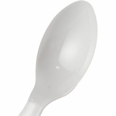 Genuine Joe Disposable Polystyrene Cutlery (30433)