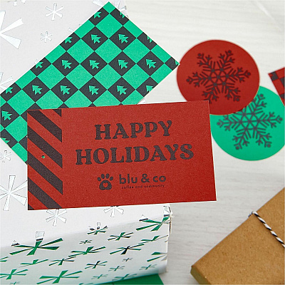 Astrobrights Colored Cardstock (92108)