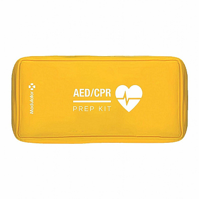 CARDIACT Rugged LIFEPAK CR2 Auto English AED Kit with USB (CARG022)