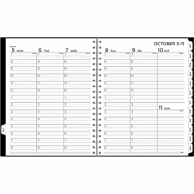 Mead BIG PLANS Weekly/Monthly Planner (CRW63005)