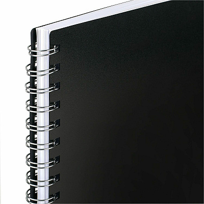 Mead BIG PLANS Weekly/Monthly Planner (CRW63005)