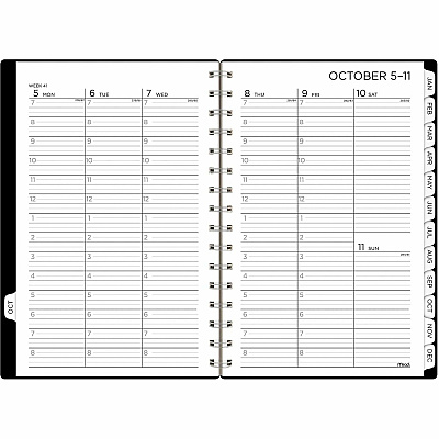 Mead BIG PLANS Weekly/Monthly Planner (CRW43005)