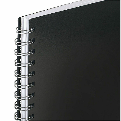 Mead BIG PLANS Weekly/Monthly Planner (CRW43005)