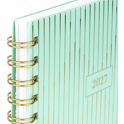 Cambridge Glimmer Weekly/Monthly Planner (1843200)