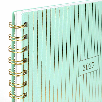 Cambridge Glimmer Weekly/Monthly Planner (1843905)