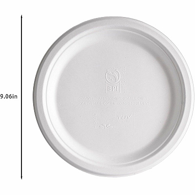 Genuine Joe BPI Certified Compostable Paper Plate (02043)