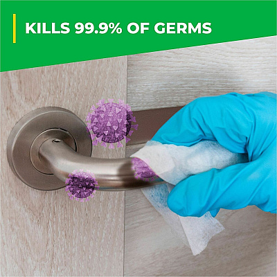 Simple Green Clean Finish Disinfectant Cleaner (2801128)