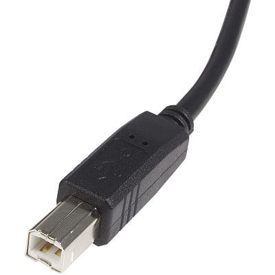 StarTech 1 Ft Usb 2.0 A To B Cable M/m (USB2HAB1)