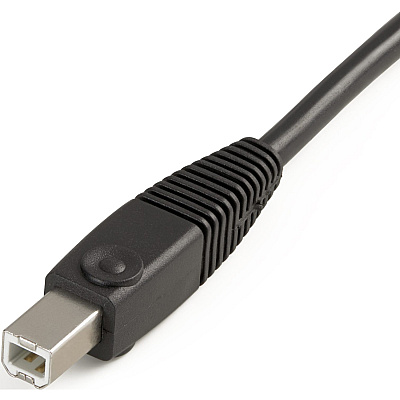 StarTech 6 Ft 4-in-1 Usb Dvi Kvm Cable With Audio (USBDVI4N1A6)