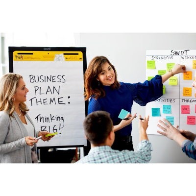 Post-it Self-Stick Easel Pads (MMM559)