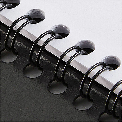 AT-A-GLANCE Daily Appointment Book with 30-Minute Appointments, 8 x 5, Black Cover, 12-Month (Jan to Dec): 2026 (7020705)