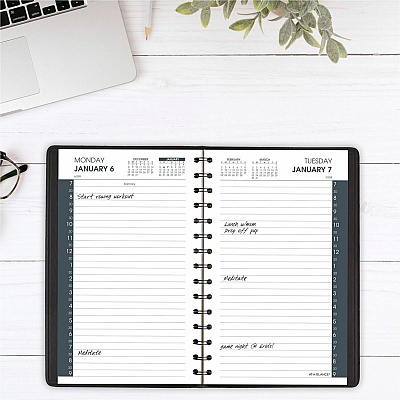 AT-A-GLANCE Daily Appointment Book with 30-Minute Appointments, 8 x 5, Black Cover, 12-Month (Jan to Dec): 2026 (7020705)