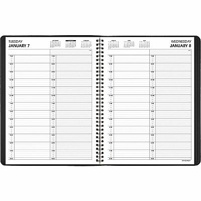 AT-A-GLANCE Two-Person Group Daily Appointment Book, 11 x 8, Black Cover, 12-Month (Jan to Dec): 2026 (7022205)