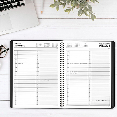 AT-A-GLANCE Two-Person Group Daily Appointment Book, 11 x 8, Black Cover, 12-Month (Jan to Dec): 2026 (7022205)