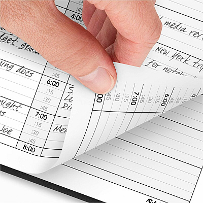 AT-A-GLANCE Two-Person Group Daily Appointment Book, 11 x 8, Black Cover, 12-Month (Jan to Dec): 2026 (7022205)