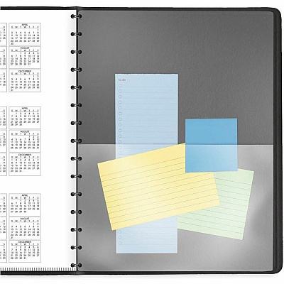 AT-A-GLANCE Four-Person Group Daily Appointment Book, 11 x 8, Black Cover, 12-Month (Jan to Dec): 2026 (7082205)