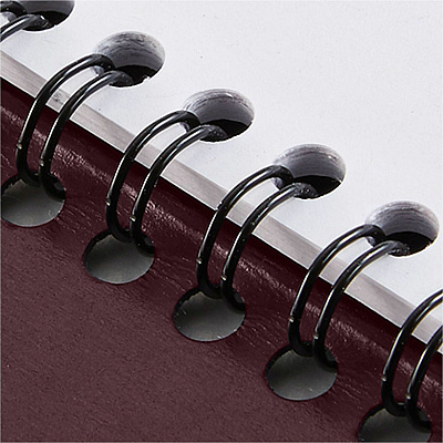 AT-A-GLANCE Weekly Appointment Book, 11 x 8.25, Winestone Cover, 13-Month: Jan 2026 to Jan 2027 (7095050)