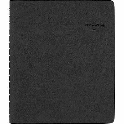 At-A-Glance Action PlannerAppointment Book Planner (70EP0305)