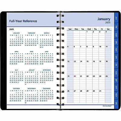 At-A-Glance QuickNotes Appointment Book Planner (760405)