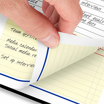 At-A-Glance QuickNotes Appointment Book Planner (760405)