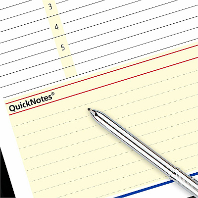 At-A-Glance QuickNotes Appointment Book Planner (760405)