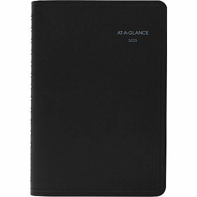 At-A-Glance QuickNotes Appointment Book Planner (760405)