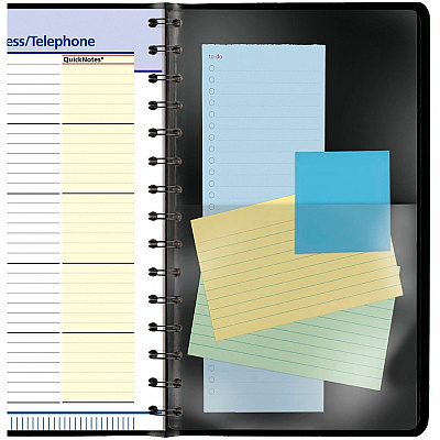 At-A-Glance QuickNotes Appointment Book Planner (760405)