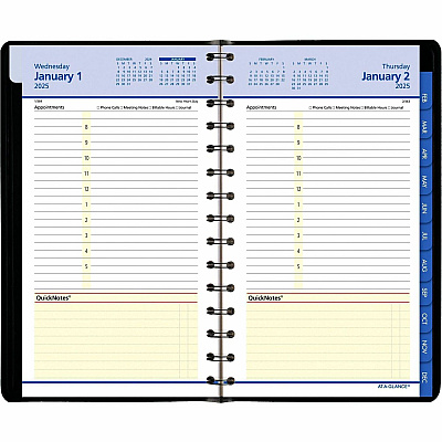 At-A-Glance QuickNotes Appointment Book Planner (760405)